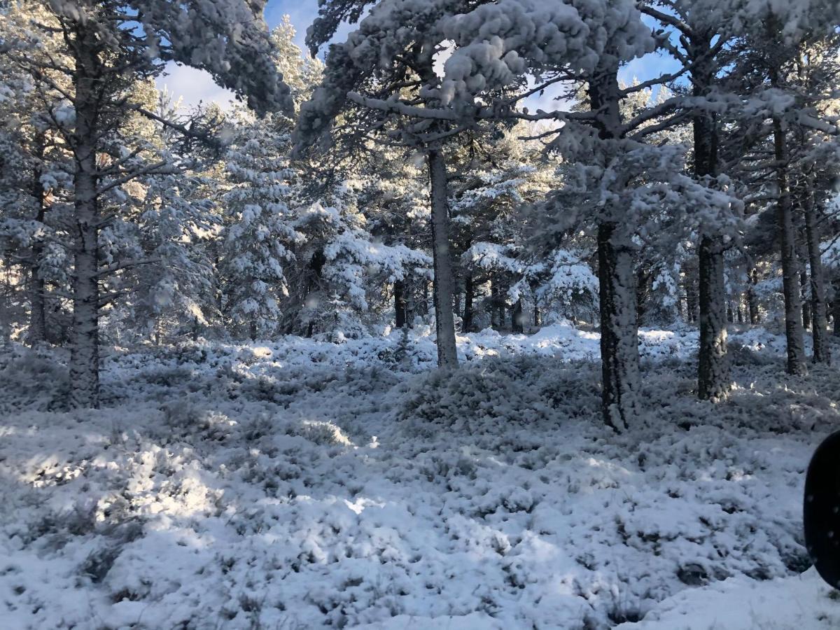 Linmore Aviemore Εξωτερικό φωτογραφία