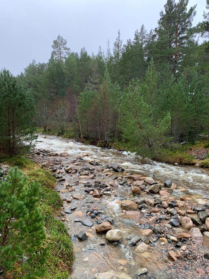 Linmore Aviemore Εξωτερικό φωτογραφία
