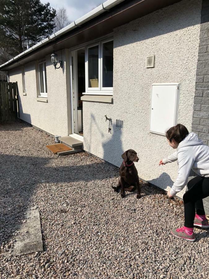 Linmore Aviemore Εξωτερικό φωτογραφία